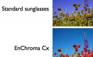 lunettes pour daltonien enchroma cx