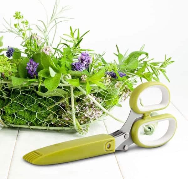 Ces ciseaux à 10 lames hachent nos herbes aromatiques en finesse