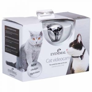 collier pour chat caméra petcam eyenimal