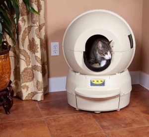 litière autonettoyante dans caisse à chat litter robot