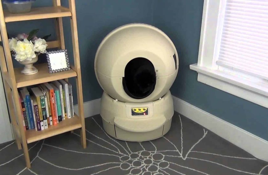 Une litière autonettoyante dans une caisse à chat rotative