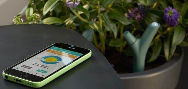 Parrot Flower Power : un capteur pour plante connecté intelligent