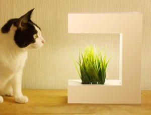 Créez votre potager indoor facilement avec ce système hydroponique