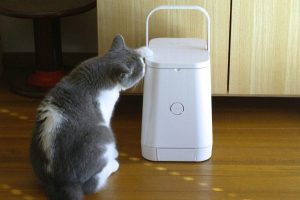 distributeur automatique de croquettes chien et chat Petly de RINN 3