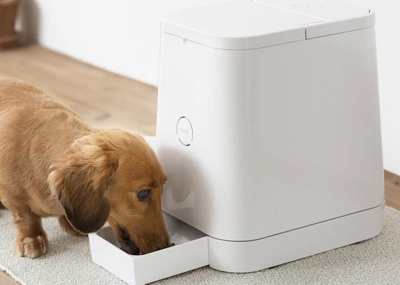 Le distributeur automatique de croquettes Petly a un design impec