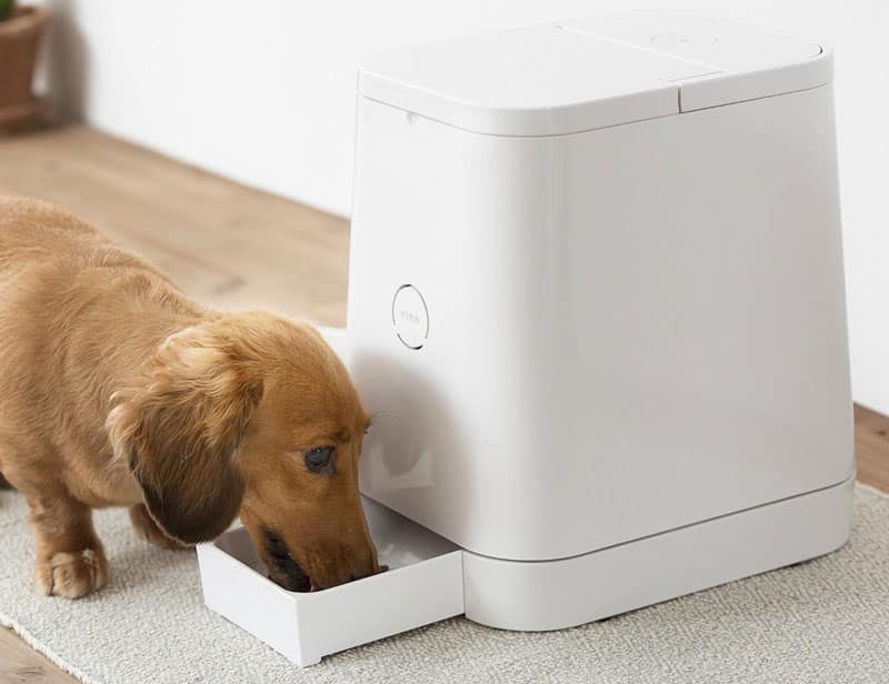 distributeur automatique de croquettes chien et chat Petly de RINN