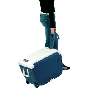 glacière table camping picnic coolbox