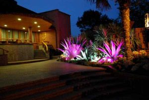 jardin bien illuminé