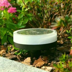lampe playbulb garden plantee dans un jardin
