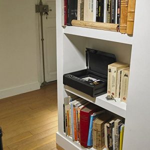 petit coffre fort biométrique Master Lock MLD08EB