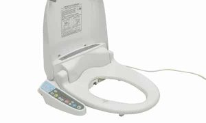 La cuvette japonaise vidaXL amène l’Asie dans votre intimité