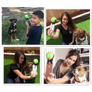 comment prendre des selfies avec son chien selfie stick similaire à Pooch Selfie