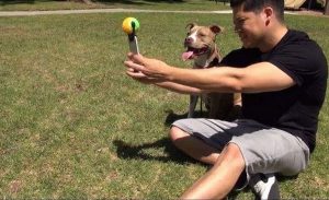 Un accessoire tout simple pour réussir les selfies avec son chien