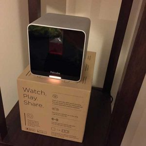 caméra petcube chien chat domestique