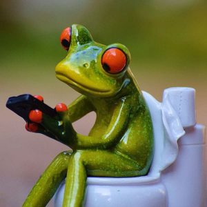 grenouille jouant sur smartphone aux wc