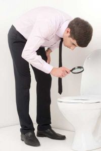 inspection microbes abattant wc