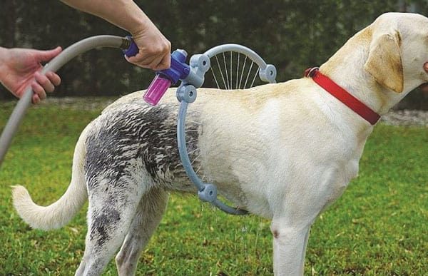 L’anneau nettoyeur Woof Washer 360 facilite la douche de votre chien