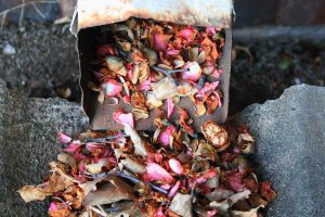 gouttière débordant de feuilles