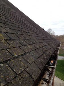 irobot looj 330 en cours de nettoyage