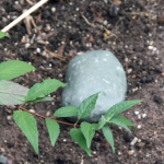 La fausse pierre cachette : le cache-clé parfait pour le double de vos clés dans votre jardin