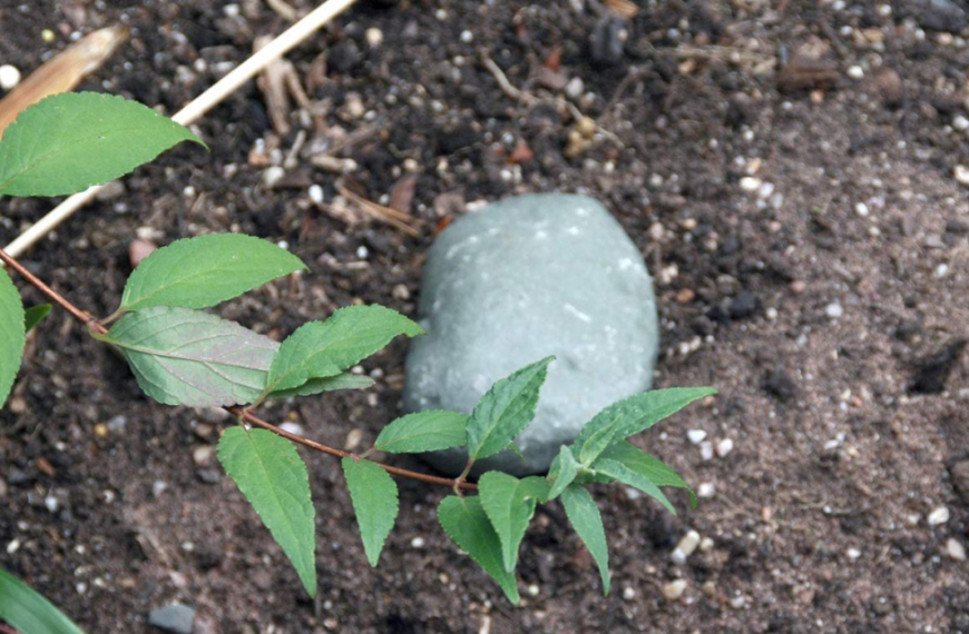 La fausse pierre cachette : le cache-clé parfait pour le double de vos clés dans votre jardin